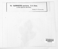Image Associated With the Occurence